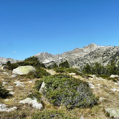 P1030277 (Copier)